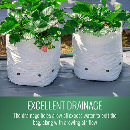Grow1 20 Gallon Grow Bags (10 Pack) Black and White Poly Bags for Plants, Perfect for Plant Nursery Bags, Tree Grow Bags & Greenhouse Grow Bags, 20 Gallon Pots for Plants