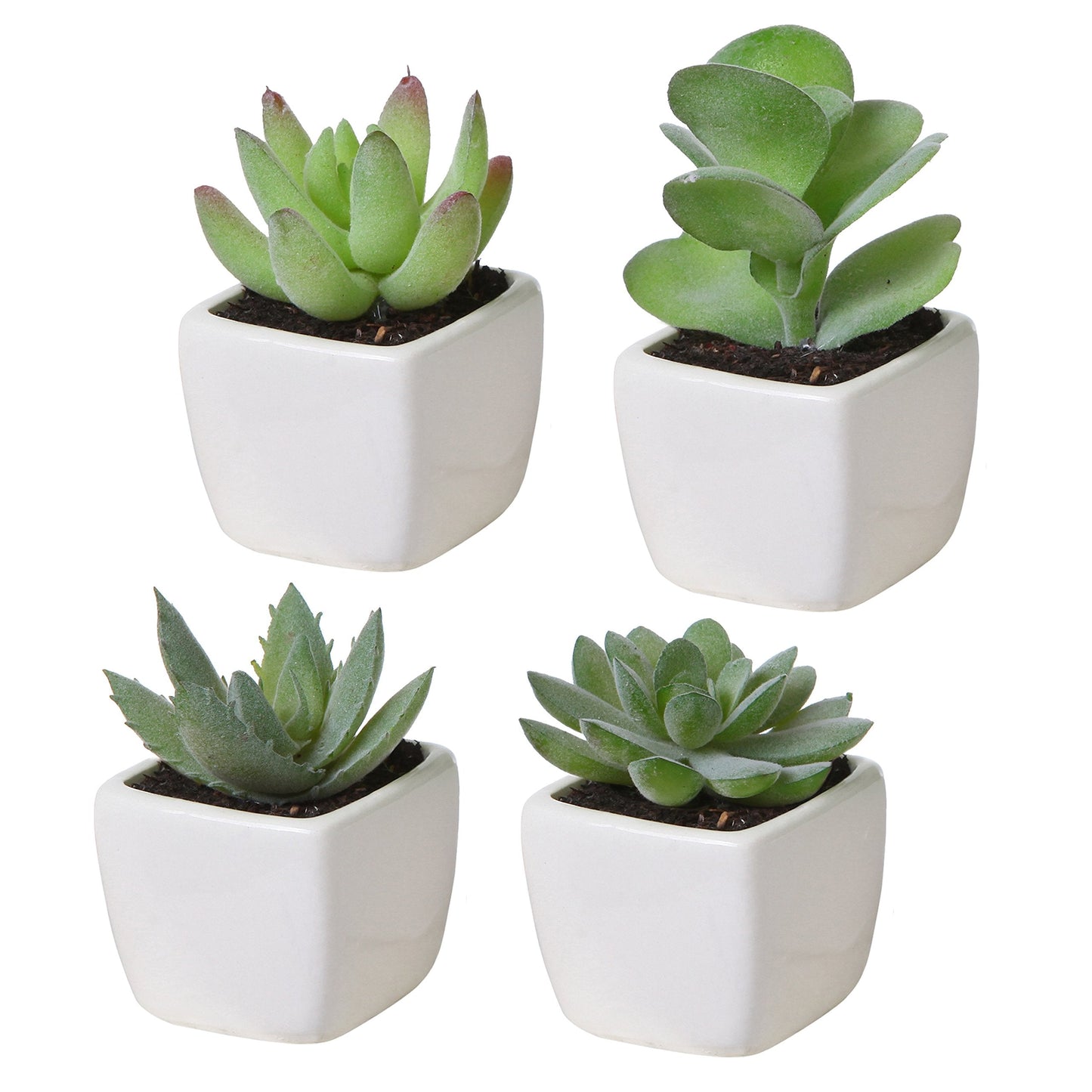 MyGift Set of 4 Mini Assorted Green Decorative Artificial Succulent Plants in Square White Glazed Ceramic Planter Pots