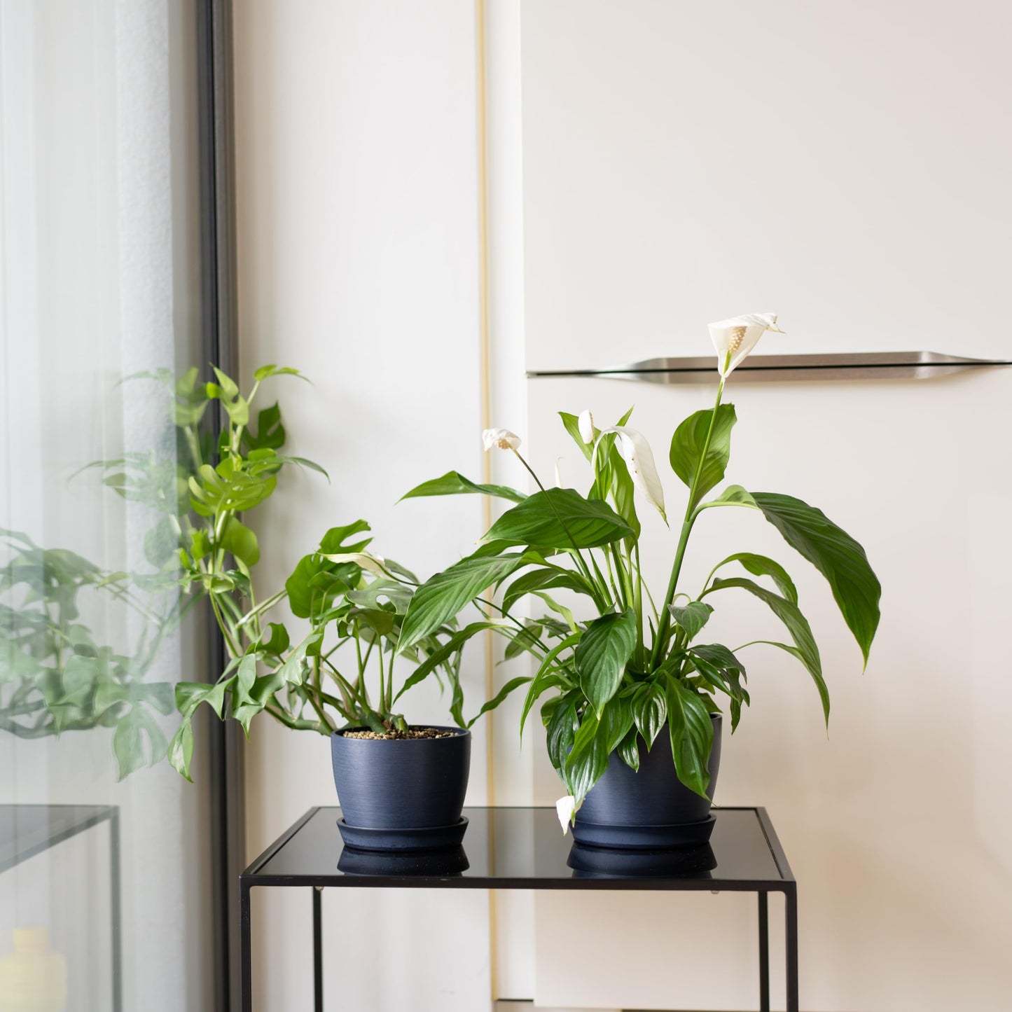 Kin 'n' Kind Set of 2 Minimalist Plant Pots (6.5" & 5.5") – Modern Indoor Planters with Drainage & Saucers & Plugs – Durable Eco-Conscious Composite, Indoor/Outdoor - Pacifica Wave Blue