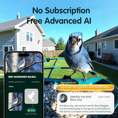 Bird Feeder with Camera, 4K Ultra HD Video with 30fps Live View, 10x Slow Motion, No Subscription, Solar Powered AI Smart Bird Feeder with Camera, 2.4G/5G Wi-Fi, Durable Metal,Bird Lover Gift