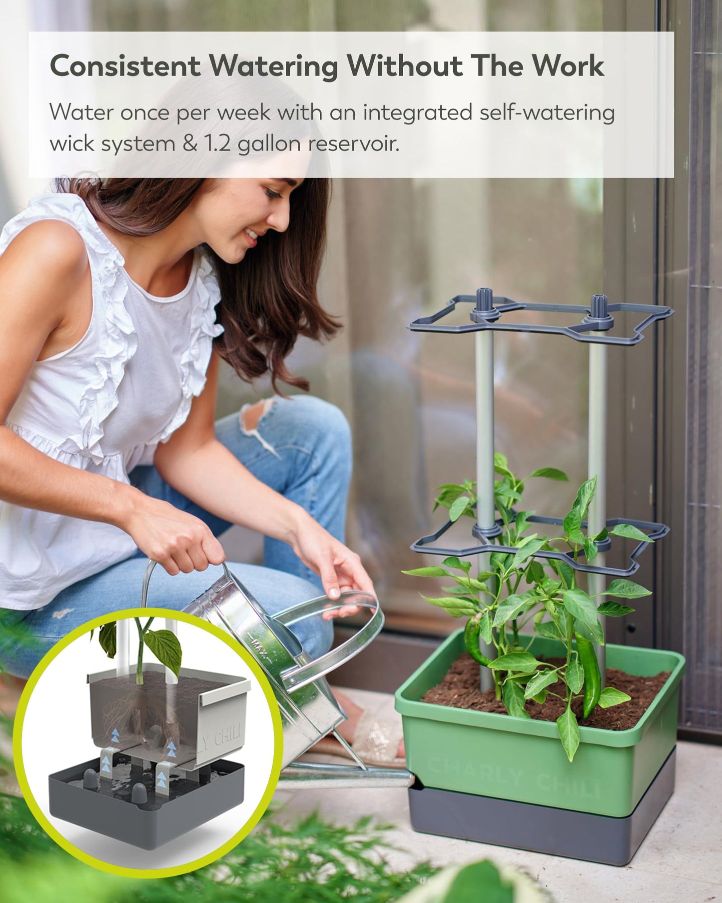 BUZZY Seeds Charly Chili Self-Watering Planter with Vertical Trellis – 1.2 Gal Reservoir, Large Capacity Planter for Chili Peppers, Bell Peppers & Eggplants (Green)