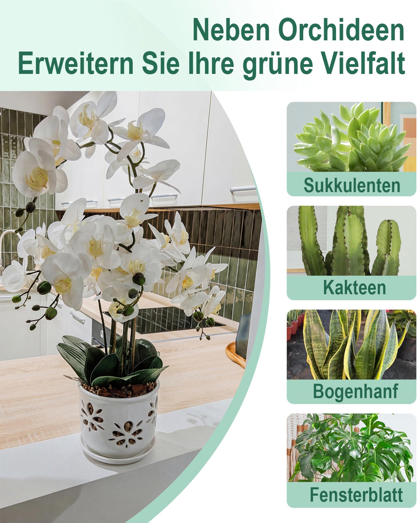 vensovo 5+6 Inch Orchid Pot with Holes and Saucer - White Ceramic Orchid Planter for Repotting, Flower Pot for Indoor/Outdoor Plants (2 Packs)