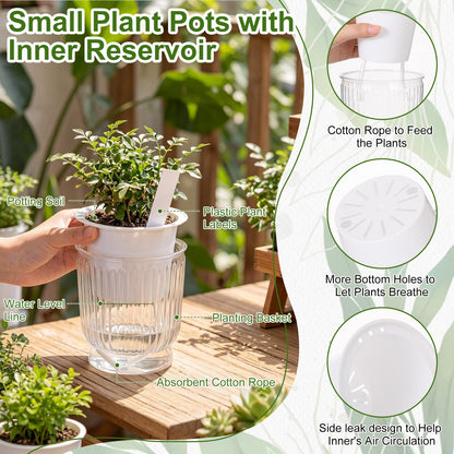 Ferrochef 20 Sets 4 Inch Self Watering Pots Bulk Small Plant Pots with Inner Reservoir, Clear Self Watering Wick Planter Plastic Plant Labels for Indoor Succulents Herbs Flowers Pothos