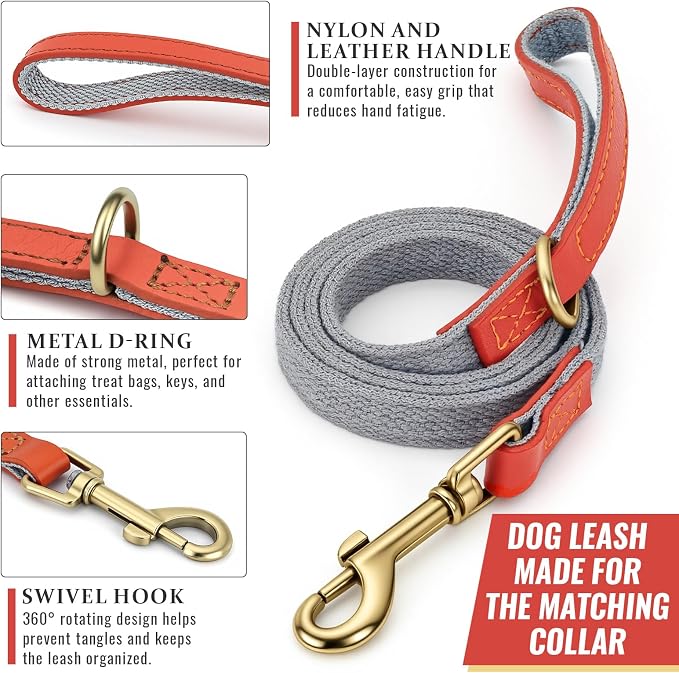 Dog Collar and Leash Set with Metal Quick Release Buckle, Adjustable, Breathable Nylon, Durable, Soft and Comfortable, No Pull for Walking and Training, Silver-Gray, M (12.6"-19.6")