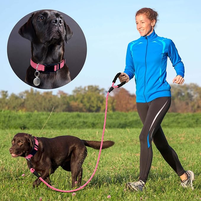 Ladoogo Reflective Dog Collar Padded with Soft Neoprene Breathable Adjustable Nylon Dog Collars for Small Medium Large Dogs (Medium (Pack of 1), Pink Collar+Leash)