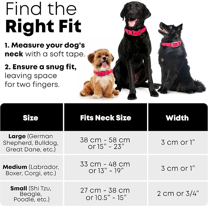Regal Dog Products Small Pink Waterproof Dog Collar and Leash Set | Heavy Duty Double Buckle & D Ring - 5'ft Leash | Adjustable Biothane Dog Collar | Chew Resistant Waterproof Collar for Dogs