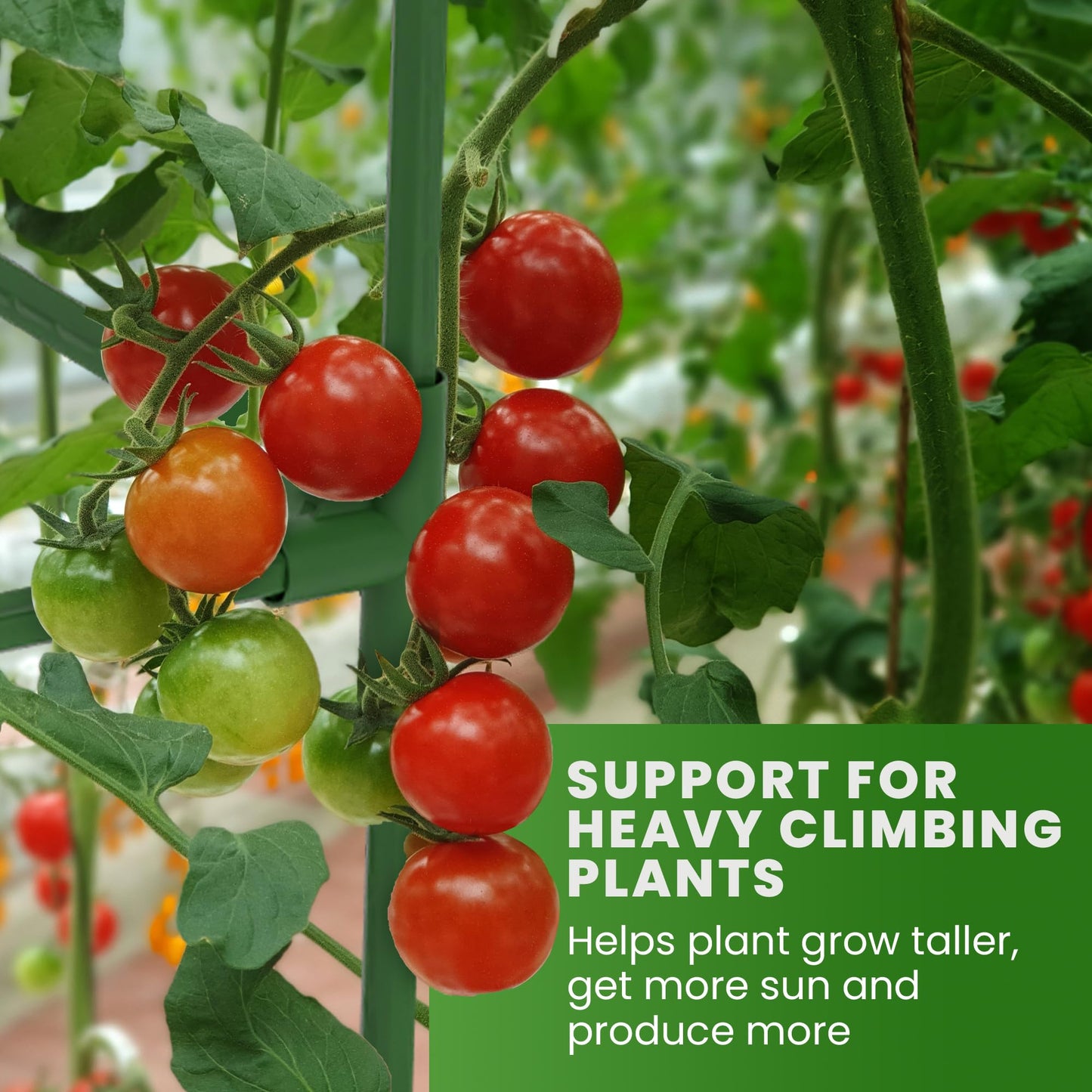 Tomato Cage Square + Triangle - Large Trellis Stakes and Plant Support Structures for Vegetables and Climbing Plants - Tall Tomato Cages for Garden, Pots, Raised Garden Bed Outdoor Supplies