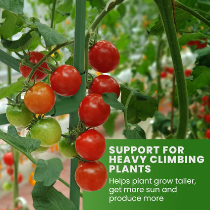 Tomato Cage Square - Large Trellis Stakes and Plant Support Structures for Vegetables and Climbing Plants - Tall Tomato Cages for Garden, Pots, Raised Garden Bed Outdoor Supplies