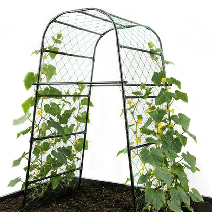 PHENEAHILL Extra Tall Garden Arch Trellis for Cucumber, Heavy-Duty Rust-Resistant Powder-Coated Steel, Vertical Support for Large Vining Vegetables (47”W x 79”H)