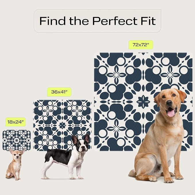 PetSpy Washable Pee Pads for Dogs 1-pack (72x72) - Waterproof Reusable Puppy Pads No-slip Surface - Stylish Dog Potty Training Pads Protect Against Leakage Small Medium Large Dogs, Oriental