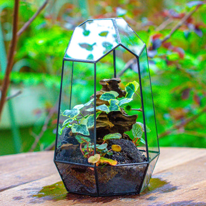 NCYP No Door Geometric Glass Terrarium Planter for Small Succulent, Small Cacti, Black Irregular Opened Terrarium Pot, Indoor Home Garden Office Tabletop Decor, 6.5" x 5.7" x 9.8" (No Plants)