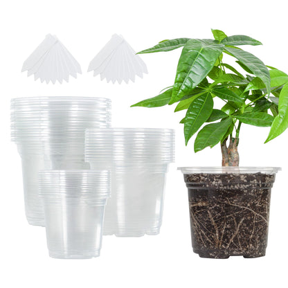 The Bundle of Bonviee 5 Packs Seed Starter Tray with Grow Light and 36 Packs Variety Sizes Clear Nursery Pots