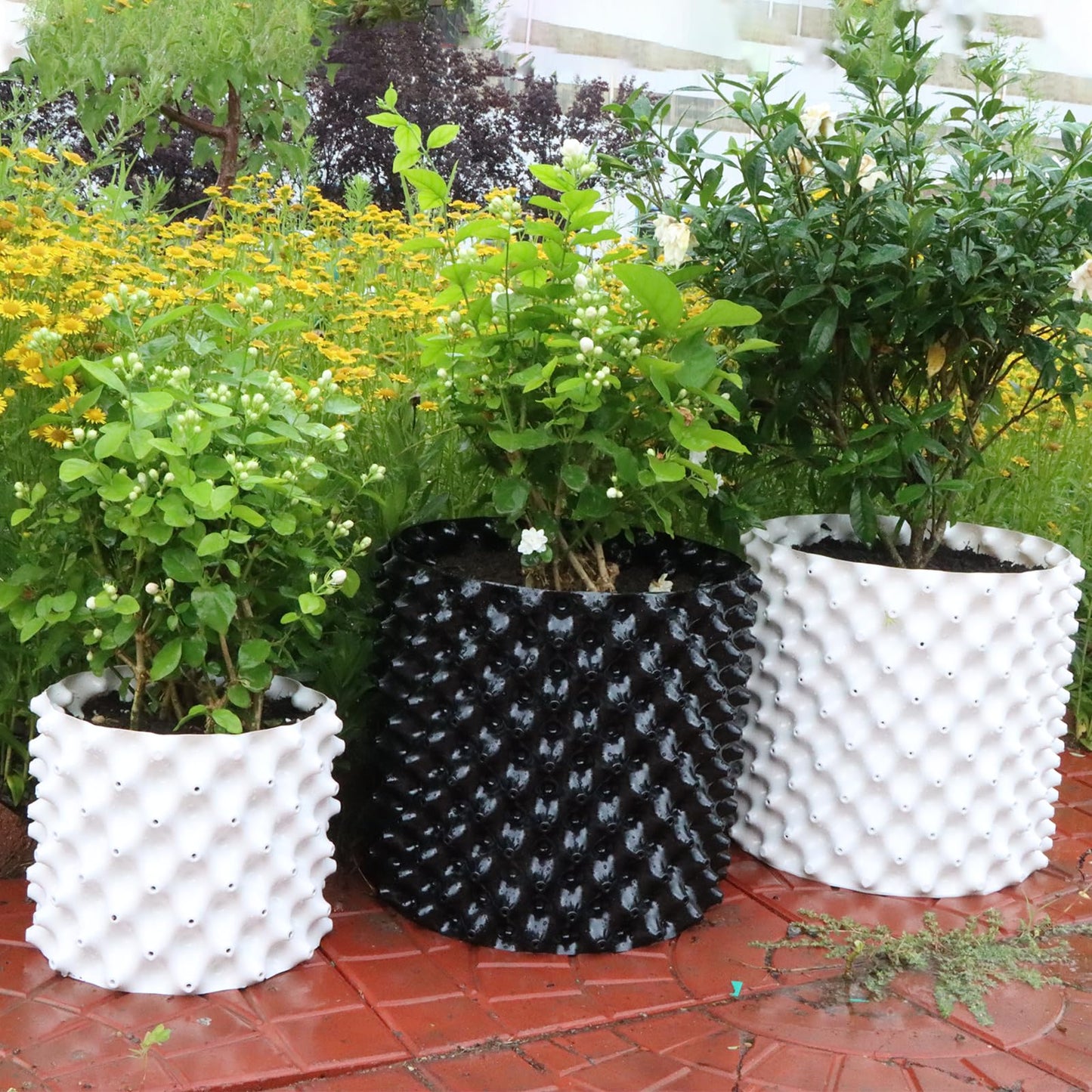 Plant air pruning pot, honeycomb porous structure design, improve root system development, prevent decay, suitable for flowers/vegetables/seedlings, farm planting solutions (Black, 8inches-3G-6P)