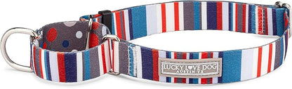 Lucky Love Dog Martingale Dog Collar - Adjustable, No-Slip, Durable, & Soft Webbing Collar for Male and Female Dogs Ideal for Training & Walking - Linus, Small