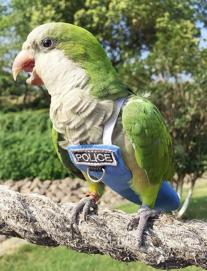 Bird Clothes Parrot Diapers Flight Suits, Reusable Waterproof Diapers for Pet Birds (2XL)