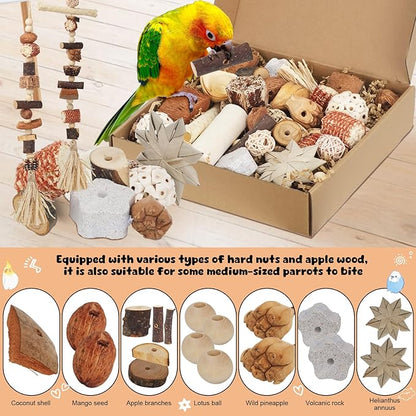 Bird Toys Parrot Natural Foraging Box Parakeet Toys DIY Hanging String for Cockatiels,Conures,Love Birds,and Other Small to Medium Birds Cage Accessories (Large)