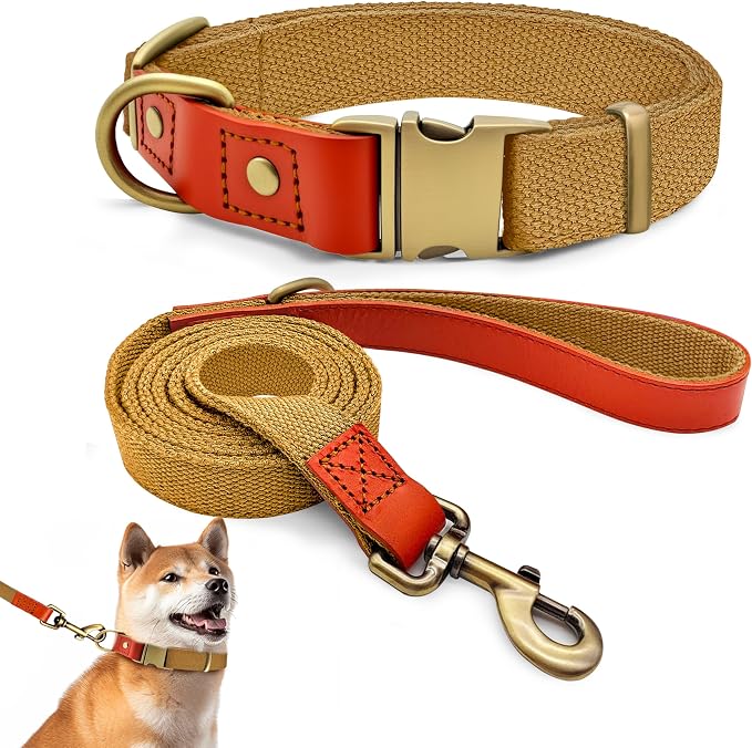 Dog Collar and Leash Set with Metal Quick Release Buckle, Adjustable, Breathable Nylon, Durable, Soft and Comfortable, No Pull for Walking and Training, Khaki, L (14.9"-22.8")