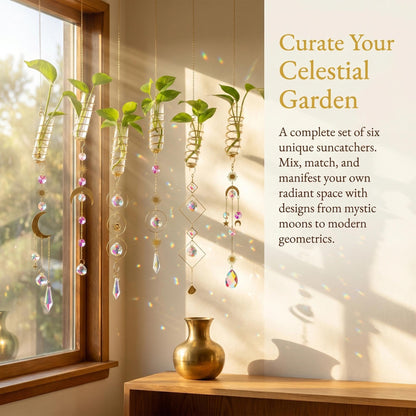 HDCRYSTALGIFTS 6 Pcs Crystal Suncatchers with Plant Propagation Station,Glass Window Wall Planters for Indoor Plants Hydroponics, Hanging Sun Catcher with Chain for Home Garden Whimsical Decor