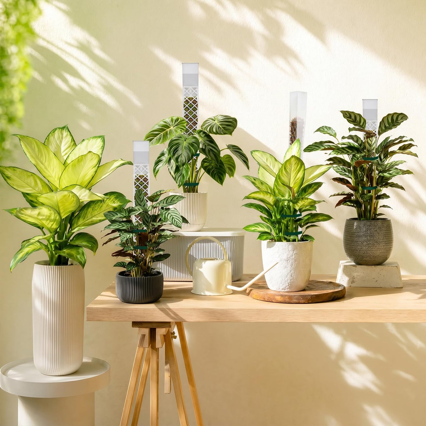 GJL Stackable D Shape Self Watering Moss Pole for Monstera,Plastic Sphagnum Moss Pole with Watering Dripper, Indoor Climbing Plant Support for Pothos & Philodendron