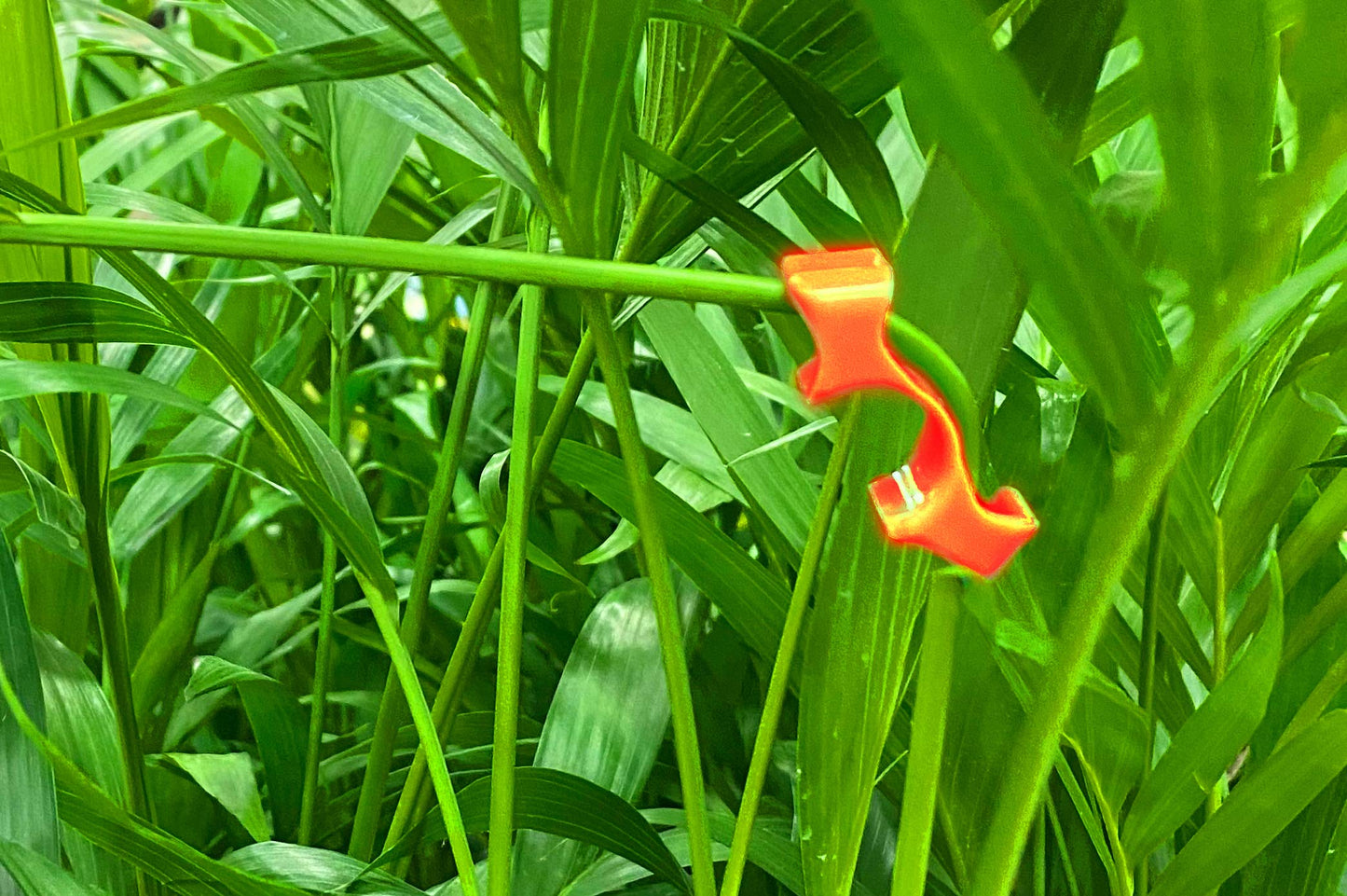 Engineered Essentials USA Made The Original 90 Degree Plant Trainer- for Low Stress Training (LST) and Plant Training