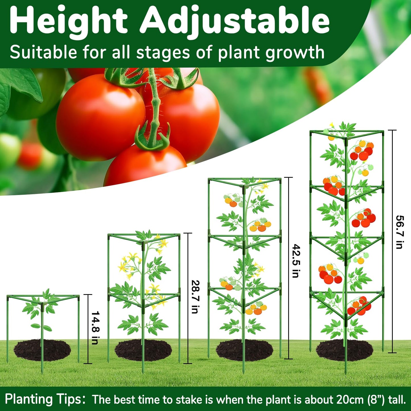 ZeeDix [Upgraded] 2 Pack Heavy Duty Tomato Cages for Garden, 57 Inch Foldable Plant Support Stakes for Heavy Climbing Plants, Adjustable Tomato Trellis for Pots Indoor & Raised Garden Bed Outdoor