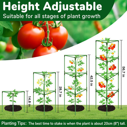 ZeeDix [Upgraded] 2 Pack Heavy Duty Tomato Cages for Garden, 57 Inch Foldable Plant Support Stakes for Heavy Climbing Plants, Adjustable Tomato Trellis for Pots Indoor & Raised Garden Bed Outdoor