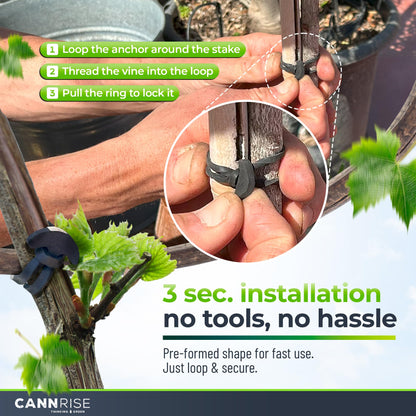 Anchor Bands for Trellising – 70-Pack 8 cm/3.14 in Rubber Vine Ties, UV-Protected Bands: Grapevines, Trees & Climbing Plants – Tool-Free Loop-and-Anchor Design for Install, Weatherproof