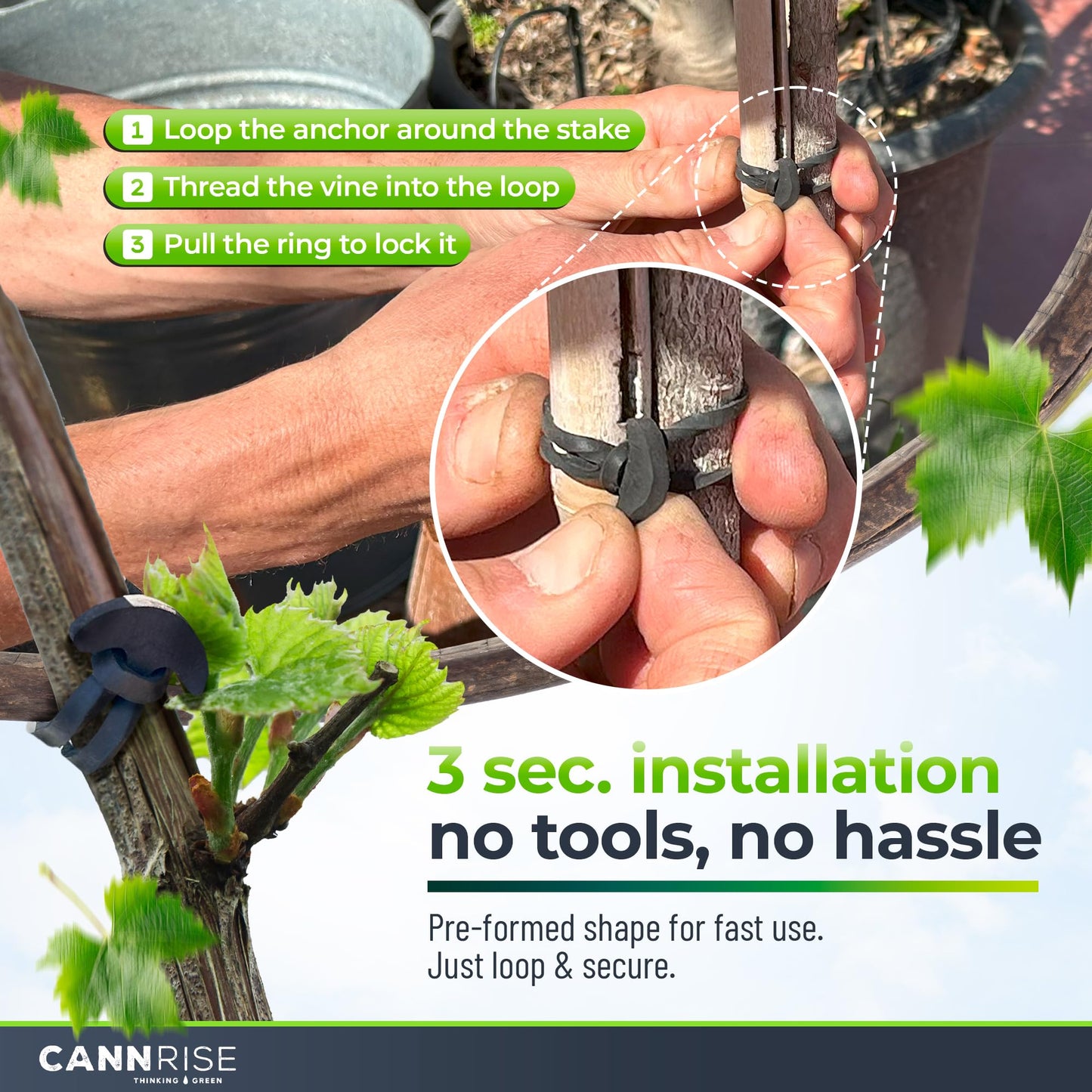 Anchor Bands for Trellising - 33-Pack 12 cm/4.72 in Rubber Vine Ties, UV-Protected Bands: Grapevines, Trees & Climbing Plants – Tool-Free Loop-and-Anchor Design for Install, Weatherproof