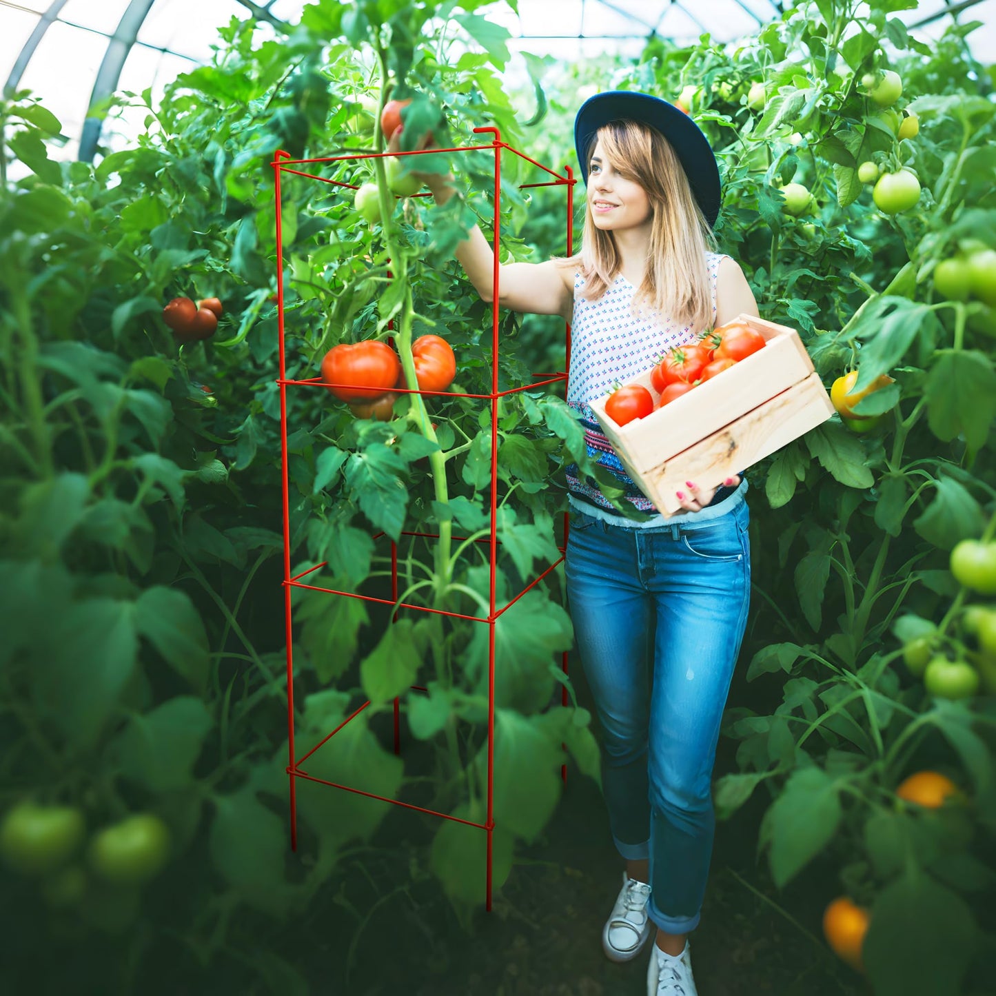Thealyn Tomato Cages 6 Packs 46 Inch (H) Plant Stand with 164 Feet Twist Ties, Heavy Duty Garden Plants Support for Tomatoes, Cucumber, and Other Climbing Plants (Red)