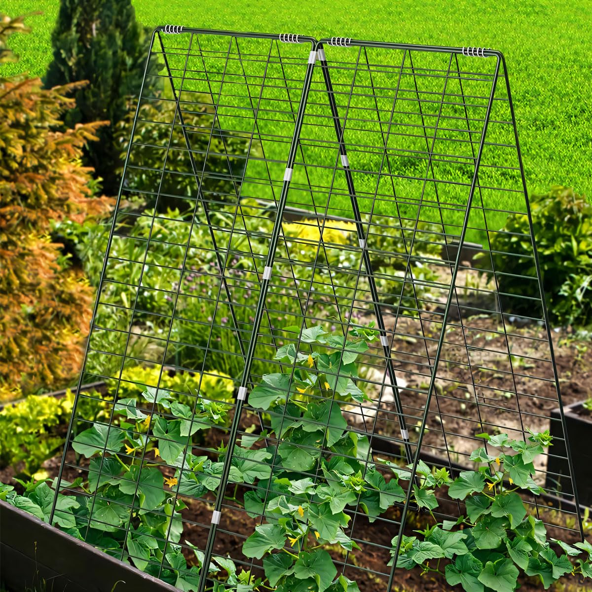 Metal Cucumber Trellis Foldable,Garden Trellis for Climbing Outdoor Plants,Tomato Plant Support,Green Bean Trellis,Vegetable Trellis,Zucchini Trellis,Plant Holders for Outside (1 Pack)