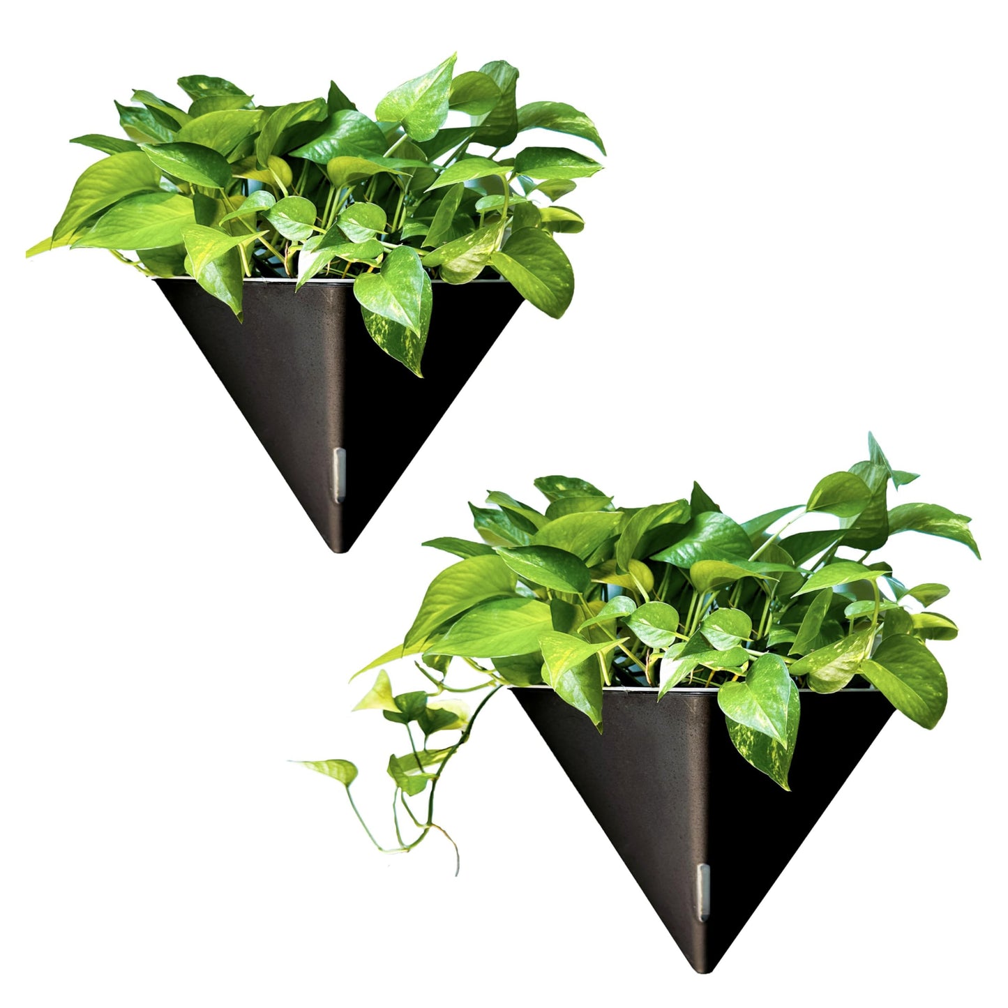 LaLaGreen Wall Planters for Indoor Plants - 2 Pack, 12 Inch Large Self Watering Black Geometric Hanging Flower Vase Vessel with Metal Hanger, Modern Stylish Wall Mounted Succulent Pot Holder Decor
