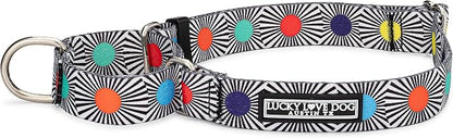 Lucky Love Dog, Adjustable Fun Style Martingale Collar for Dogs, Comfy & Bright Color, Premium No Slip Dog Collar - (Small, SOCO Mart)