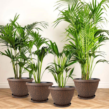 Nooulap 8 Pack Plant Pots for Indoor Outdoor Plants, Plastic Flower Pots Outdoor with Drainage Hole & Tray, Lightweight Planters Garden Home Decor, 4 Pack 8 inch and 4 Pack 10 inch