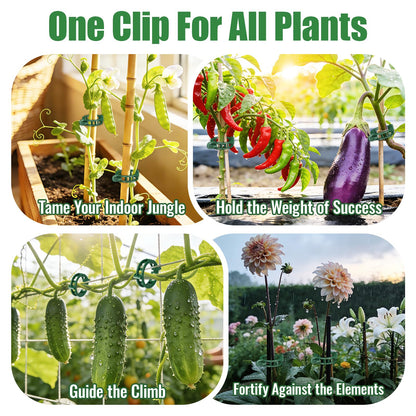 SZUAH 300 Pcs Tomato Clips for Climbing Plants & Garden Clips | All-Season Durable Reusable Plant Supports for Cucumbers, Grapes and Vegetables (Green)