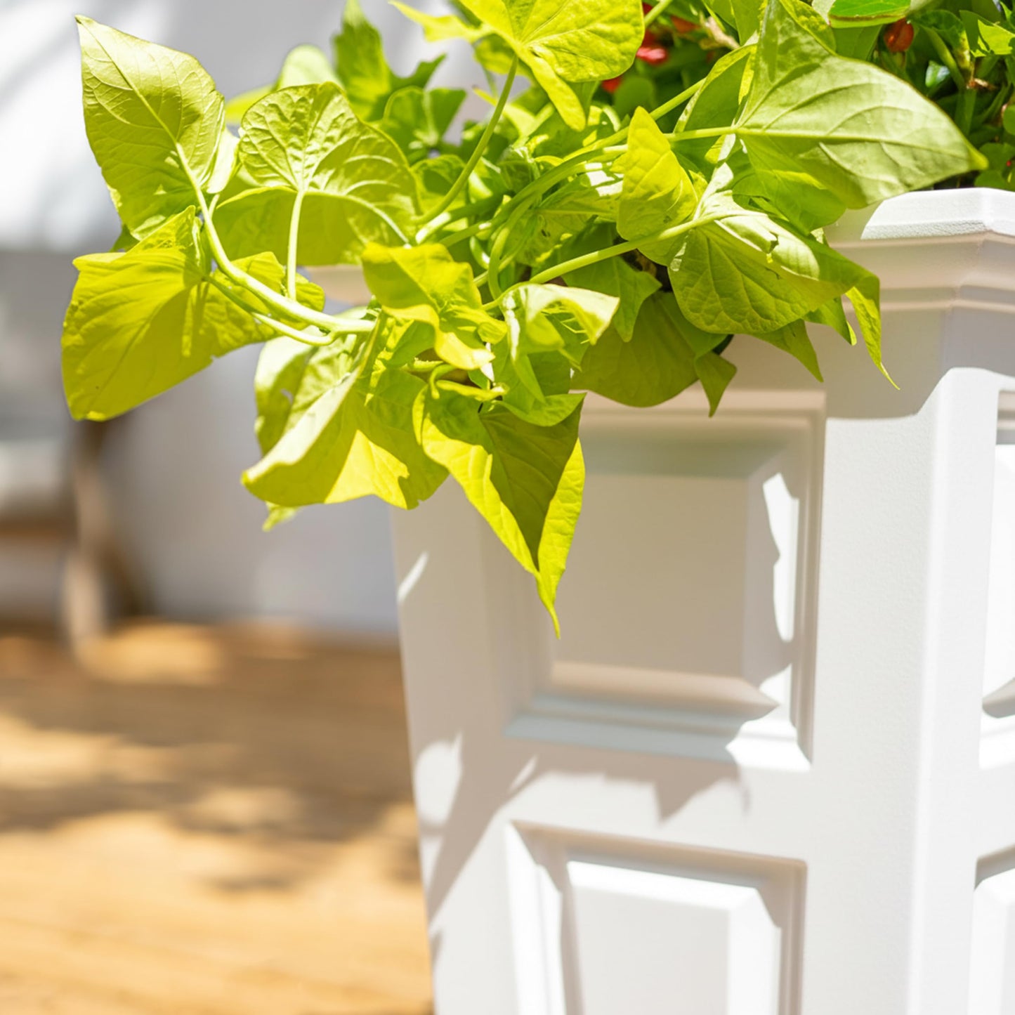 Mayne Wyndham 24-Inch Tall Planter – Self-Watering, Weather-Resistant Planter for Flowers – Durable Indoor/Outdoor Design for Patio, Porch, or Entryway