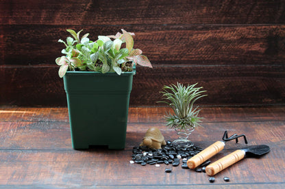 Cotta Planters Square Nursery Pot 0.5 Gallon 5 Inch Plastic Planters for Outdoor Indoor Plants 10-Pack with Drainage Holes Green