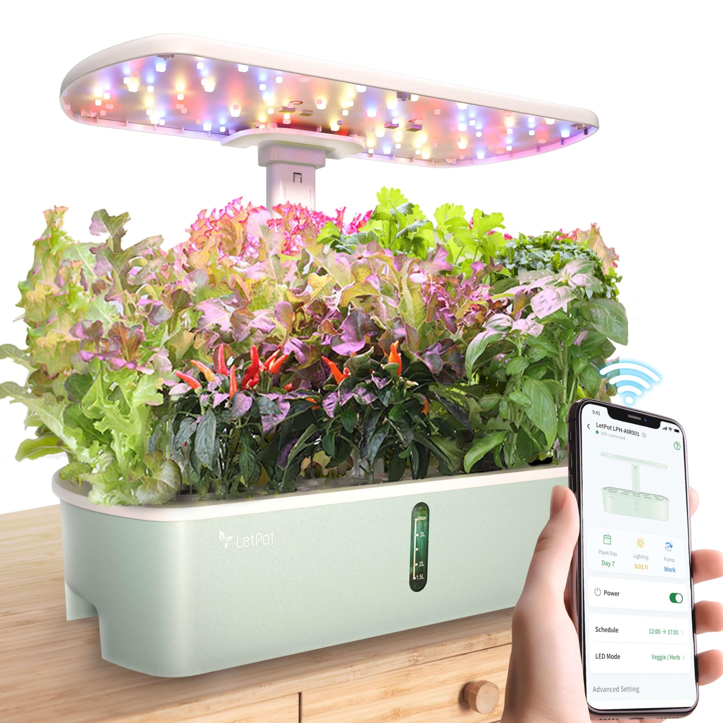 LPH-Air Hydroponics Growing System with 172 PCS Seed Plant Kits
