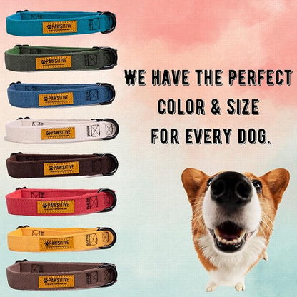 Pawsitive Teal Dog Collar Hemp Dog Collar - Super Soft Hypoallergenic Lining. Great for Small, Medium and Large Dogs; Medium Emerald Green