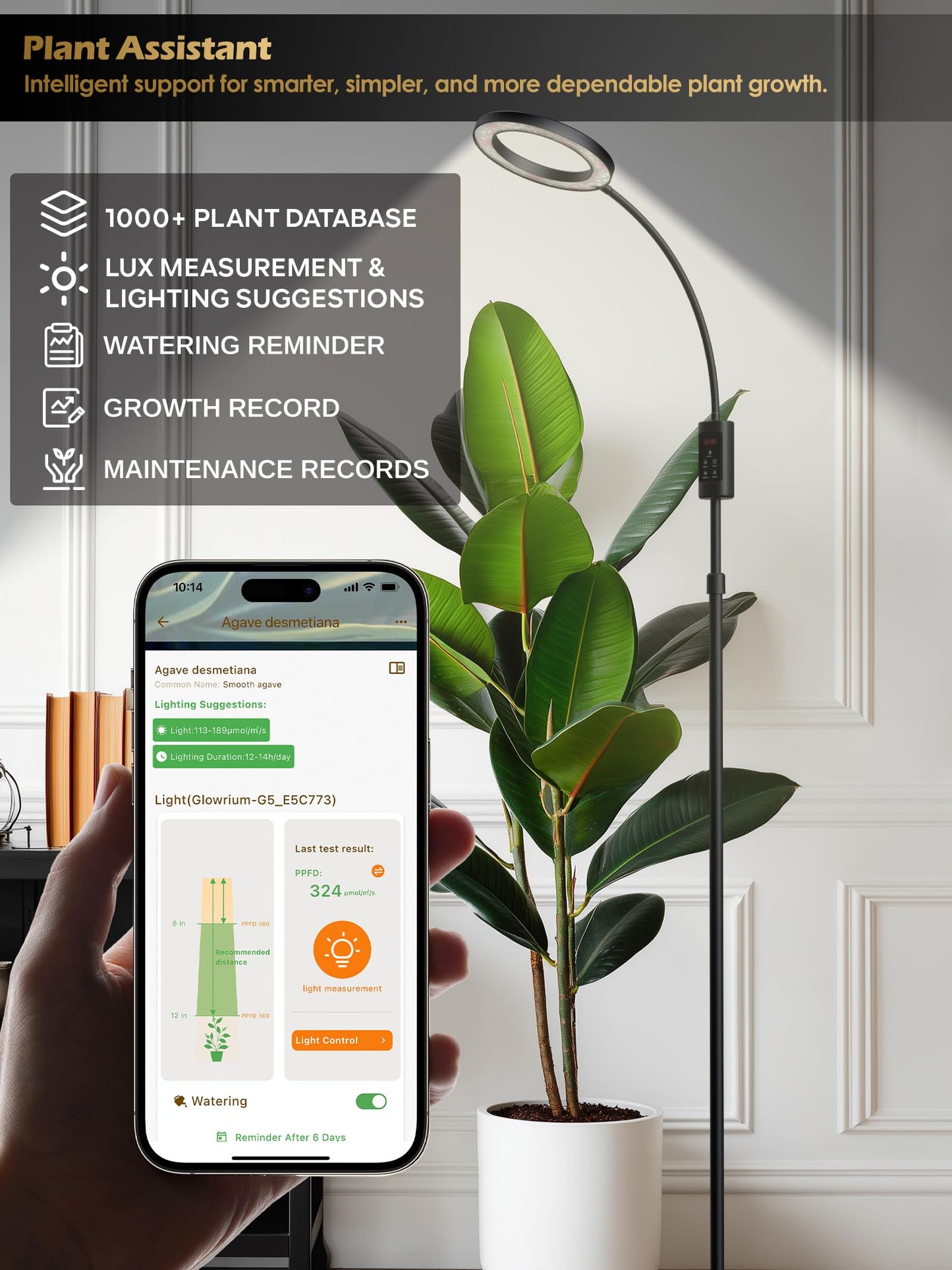 Smart Grow Lights for Indoor Plants, Plant Light with Auto-Timer, Full Spectrum LED Grow Light, Adjustable Height & Stepless Dimming,Plant Assistant Suitable for Most Plants (Black, Single Head)