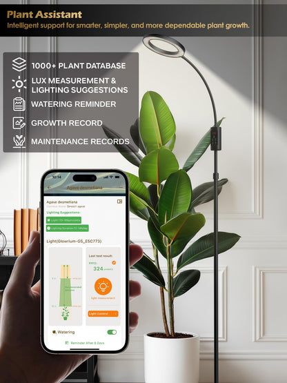 Smart Grow Lights for Indoor Plants, Plant Light with Auto-Timer, Full Spectrum LED Grow Light, Adjustable Height & Stepless Dimming,Plant Assistant Suitable for Most Plants (Black, Single Head)