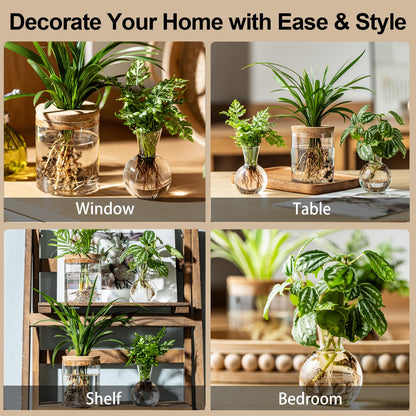 Plant Propagation Stations, 2 Style Glass Planter Terrariums, Propagation Vases for Plant, Plant Propagation Jars for Hydroponic Planter Home Office Tabletop Decoration (8)