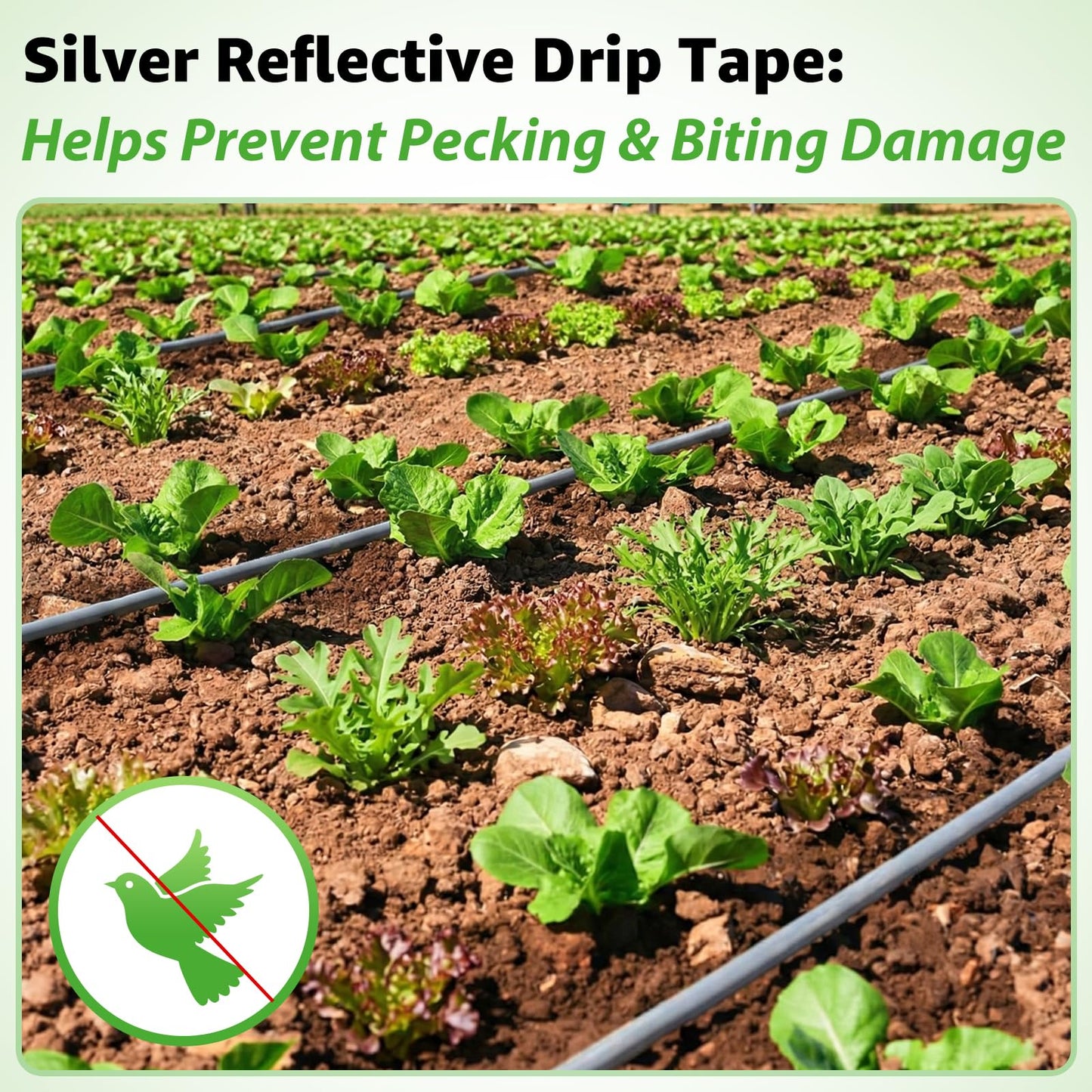2000FT 5/8" Drip Tape Irrigation, 16 Mil Heavy Duty with 6" Emitter Spacing, Silver Reflective Drip Tape Resistant to Pecking & Biting, Heat-Safe for Seedlings, Ideal for Garden Farm Greenhouse Patio