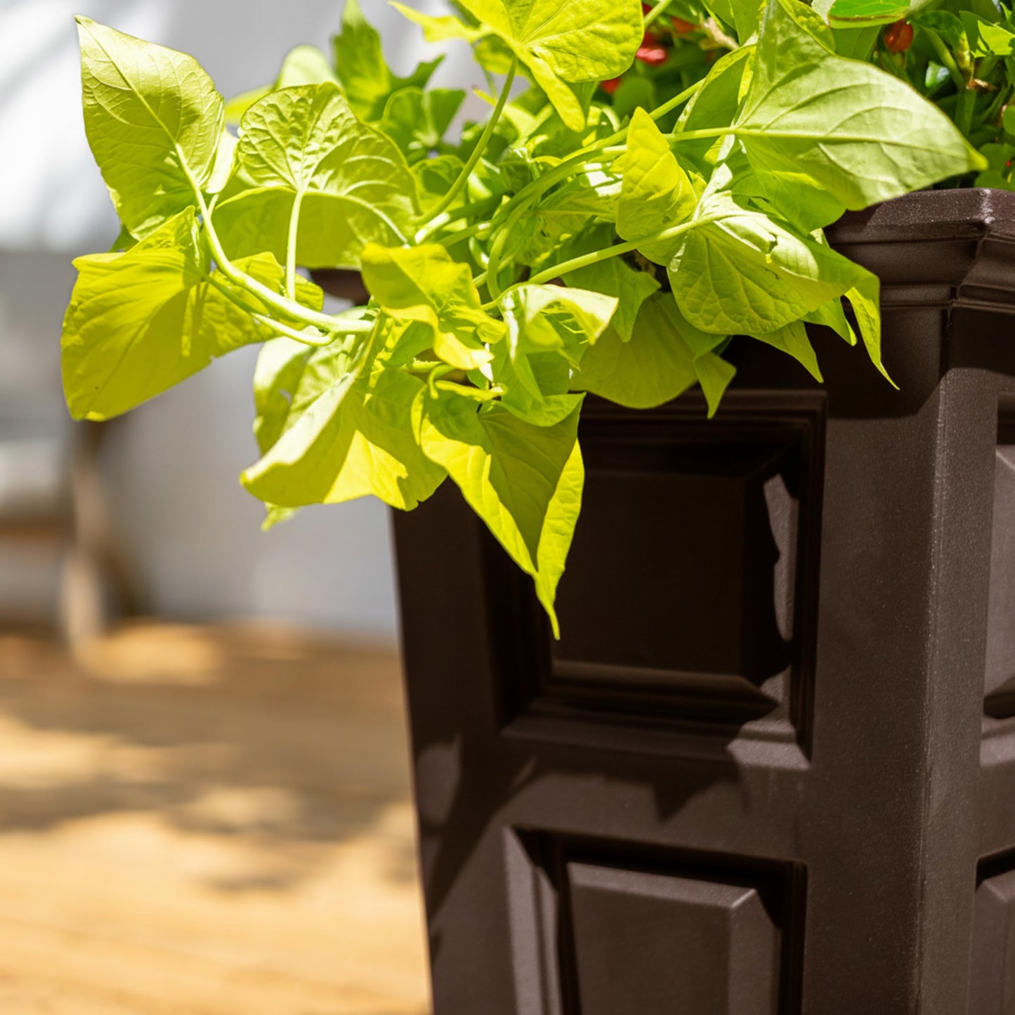 Mayne Wyndham 24-Inch Tall Planter – Self-Watering, Weather-Resistant Planter for Flowers – Durable Indoor/Outdoor Design for Patio, Porch, or Entryway