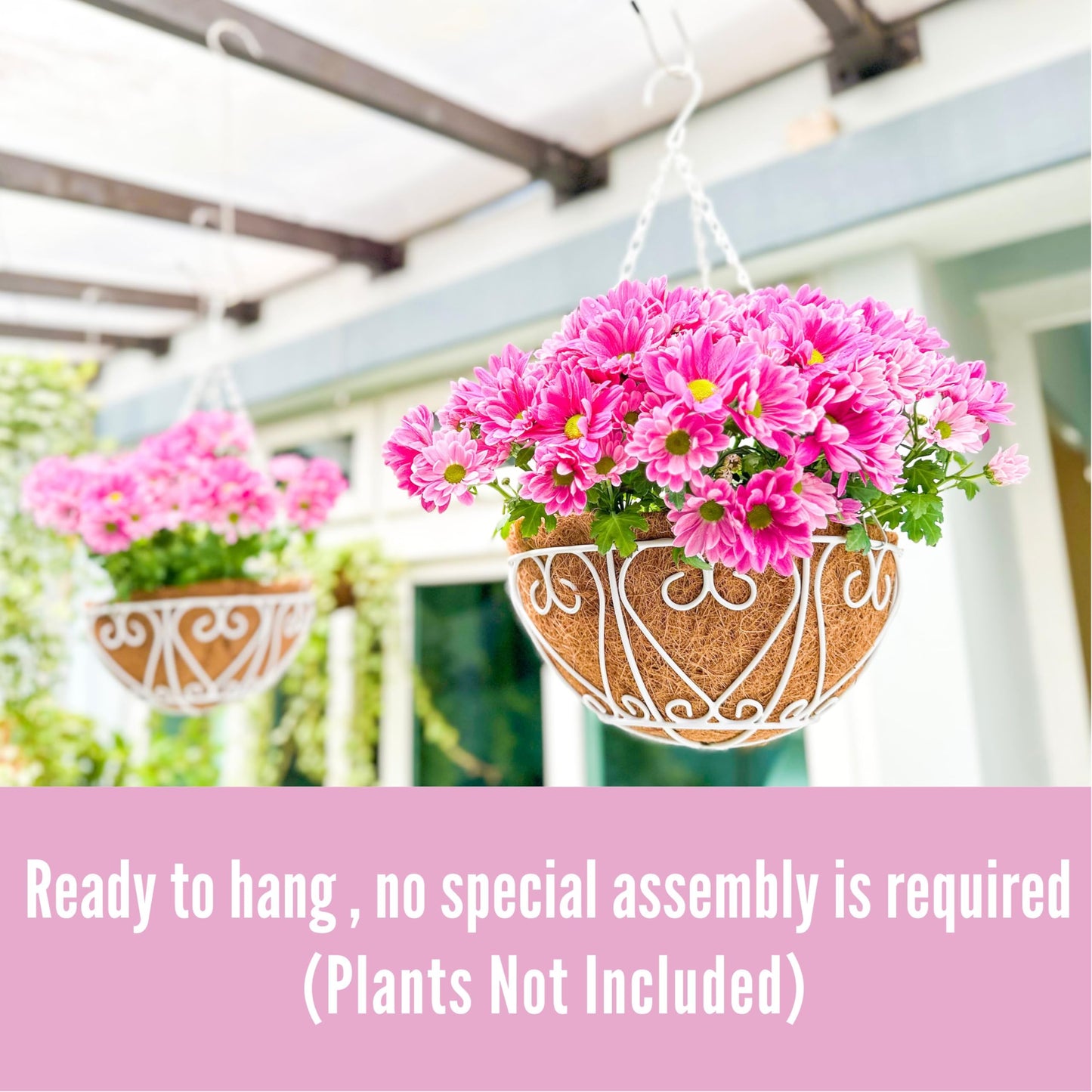 LaLaGreen Hanging Baskets for Plants (2 Pack, 12 Inch) Hanging Flower Pots with Coco Liner, White Metal Wire Round Basket Plant Holder with Hanger Hook Chain Outdoor Deck Patio Balcony Garden Decor