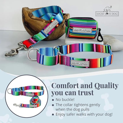 Lucky Love Dog Martingale Dog Collar & Leash - Adjustable, No-Slip, Durable, Comfortable, Soft Webbing, & Stylish Patterned Collar & Leash Set for Male and Female Dogs - Nacho Combo, Large