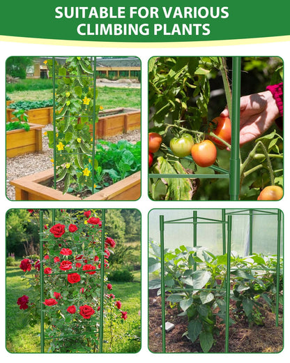 MYMULIKE 3 Pack Tomato Cages for Garden, 51in*13in Adjustable Tomatoes Plant Stakes Support Cages Trellis, Garden Trellis for Vegetable Flowers Fruits Climbing Plants- 20 Binding Wires Included