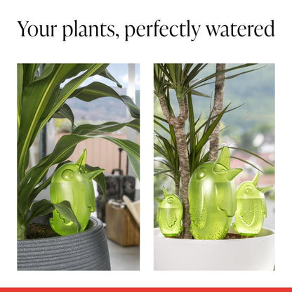 SCHEURICH Boerdy M Set of 4 Self Watering Bird Figures - Transparent Green Automatic Plant Watering Globes - for Indoor/Outdoor Use - UV-Resistant & Easy Monitoring - 4-Day Hydration