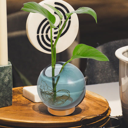 NUOBESTY Glass Vase with Copper Stand, Small Hydroponic Flower Planter for Floral Arrangement and Indoor Home Décor, Round Glass Terrarium Vase