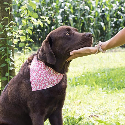 Pettsie Hemp Dog Bandana Collar & Matching Owner Friendship Bracelet | Adjustable, Durable Hemp, Soft & Comfortable, Secure D-Ring, Matching Friendship Bracelet, Pink