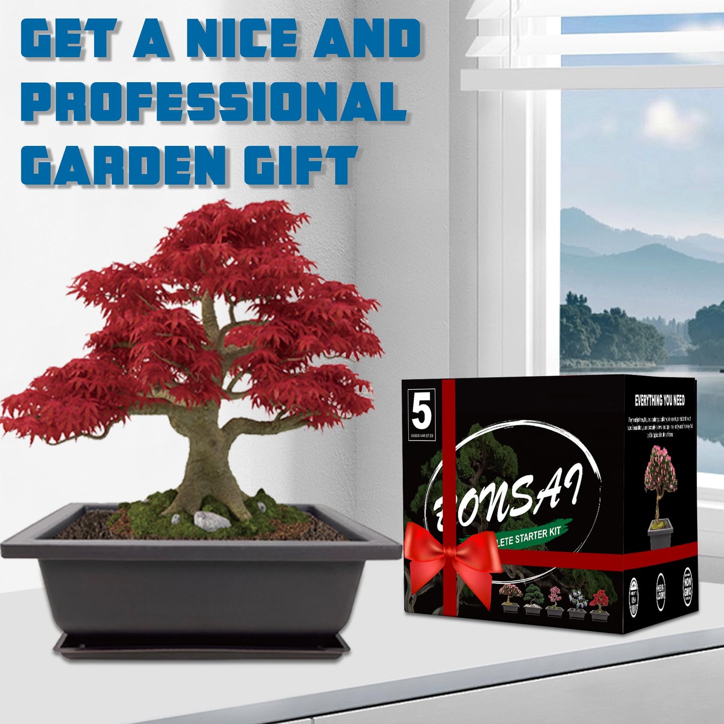Sproutix Bonsai Starter Kit, 5 Seeds Growing into Acacia, Wisteria, Sakura, Red Maple and Black Pine, Including Complete Gardening Tools with A Gift Box for Men Women Beginners